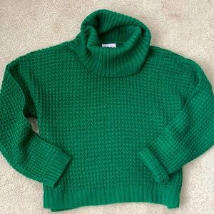 Pink lily green sweater